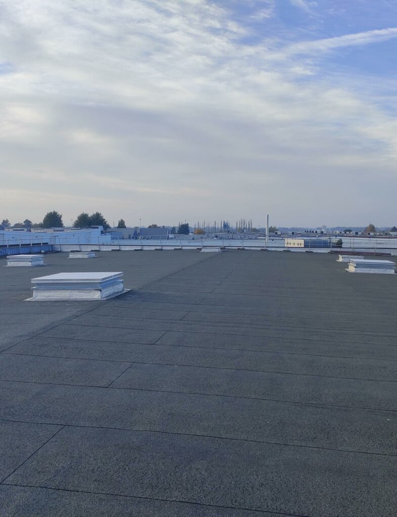 Installation lanterneaux -asdf